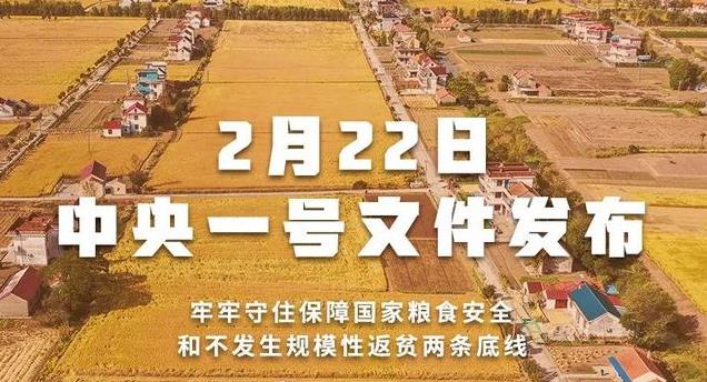 重磅！2022年中央一号文件发布