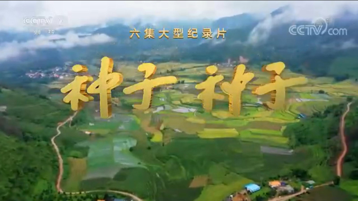 QQ浏览器截图20220304105410.jpg