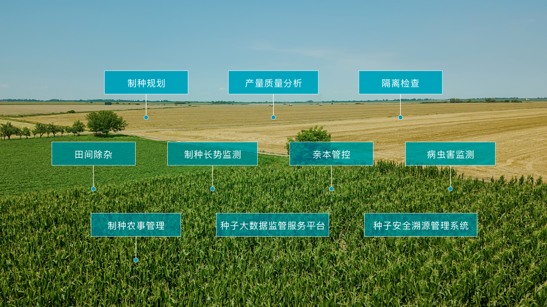 九游会